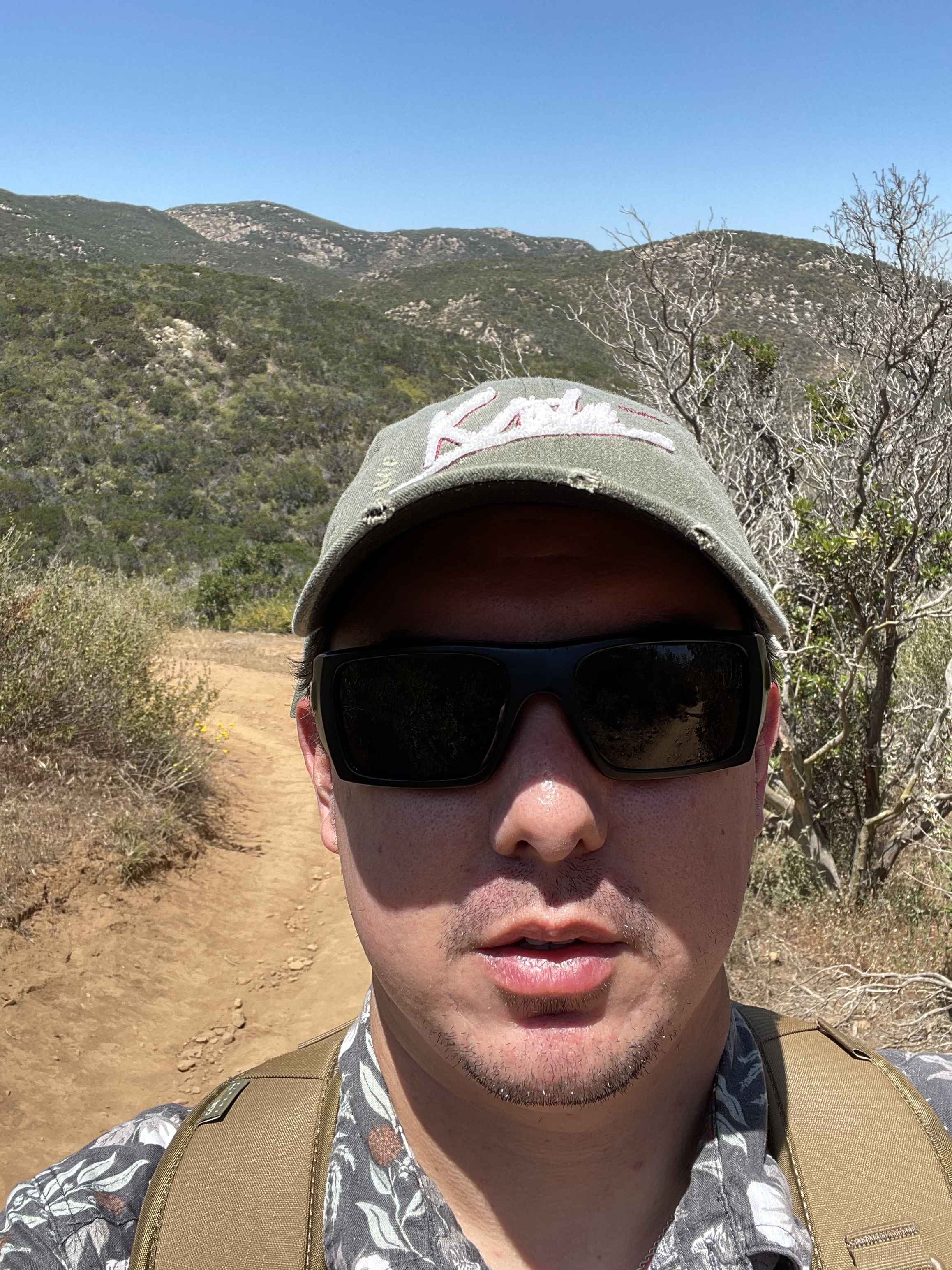 Martin Salisbury's Photo